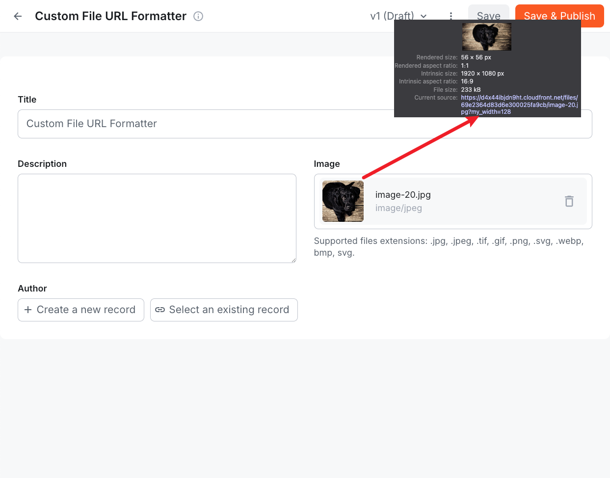 File URL Formatter result